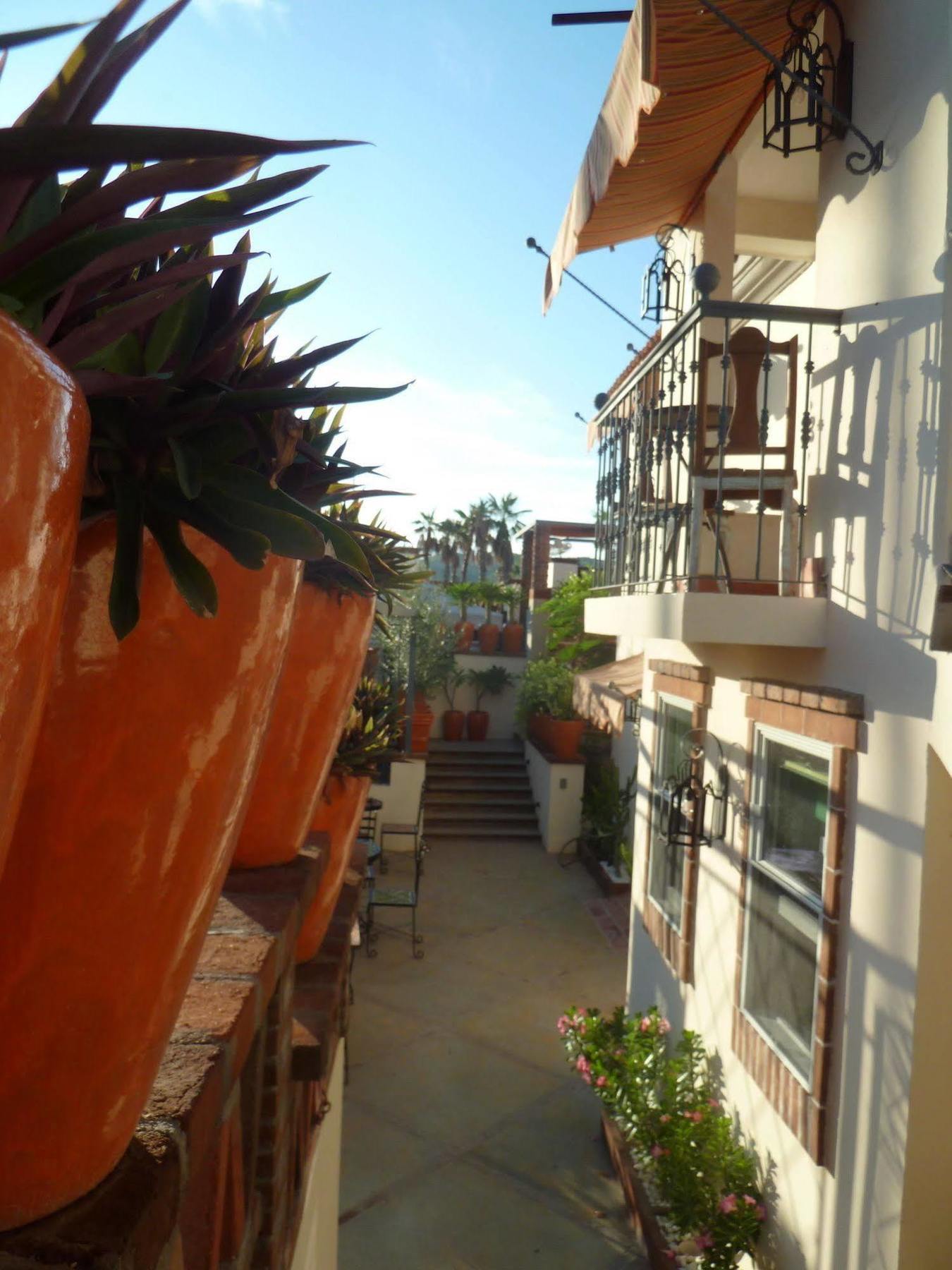 The Suites By Villa Valentina San José del Cabo Kültér fotó